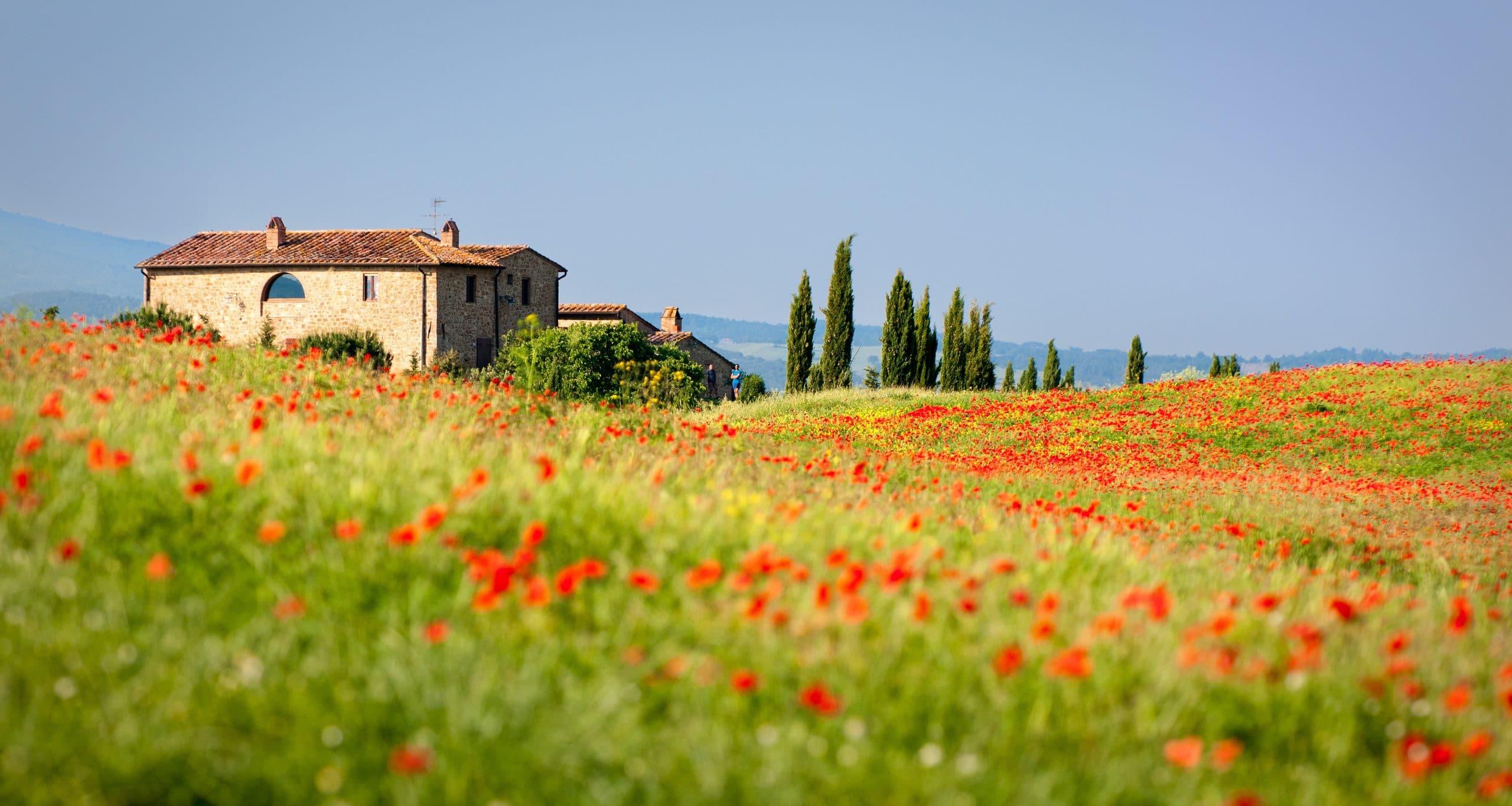 Tuscan stone country house with cypresses above a field of flowering poppies