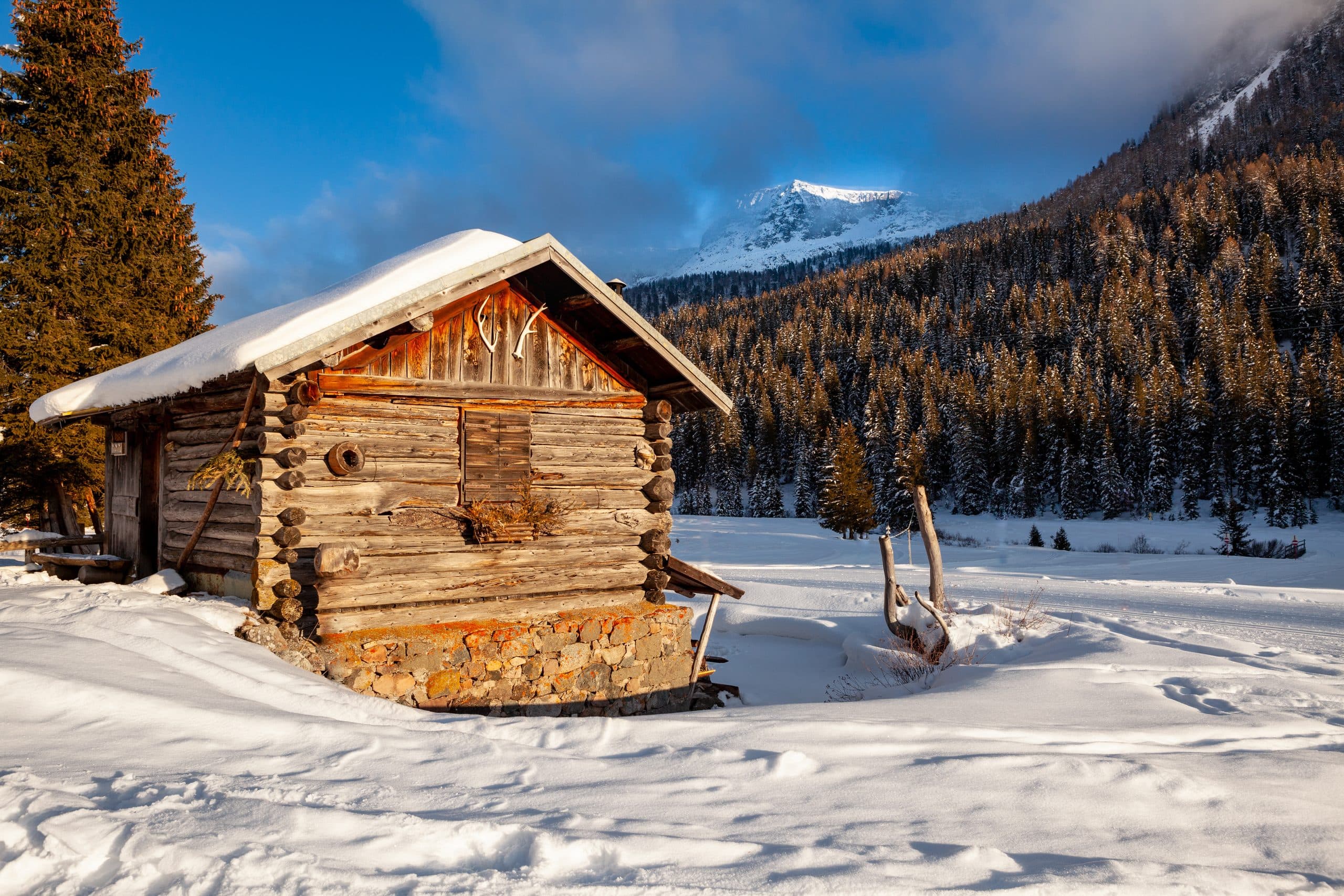 Wooden alpine hut in the snow by a spruce forest, property region Bavaria