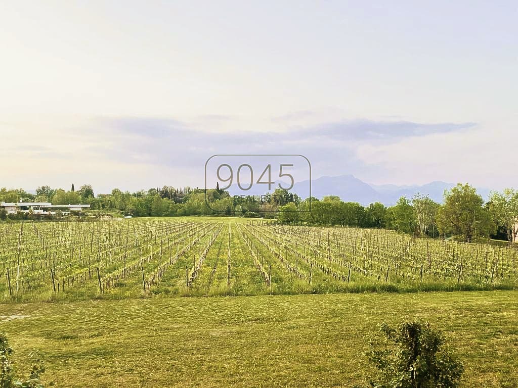 Secret Sale: charming restored 18th century estate with residential units - Lake Garda in Desenzano Del Garda, property offered by 9045 REAL ESTATE