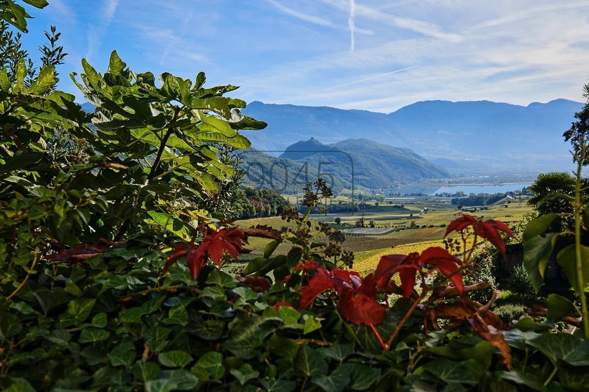 Casa esclusiva sul lago di Caldaro - affitto a lungo termine in una posizione unica a Kaltern, immobile proposto da 9045 REAL ESTATE