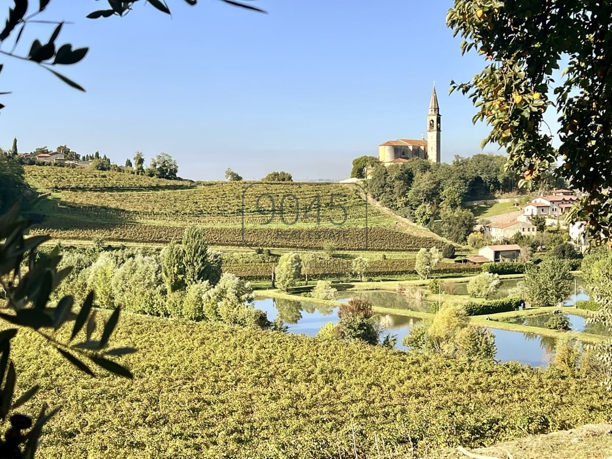 Small winery in the rolling hills of the Colli Berici in Sarego - Vicenza in Sarego, property offered by 9045 REAL ESTATE