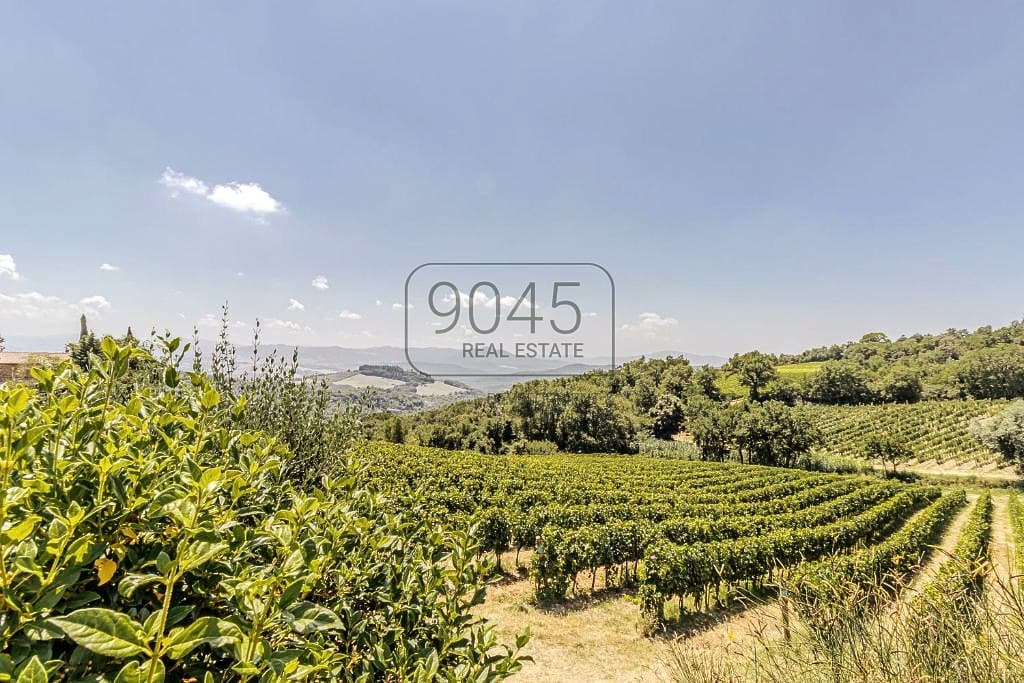 Secret Sale: Exklusives Anwesen mit Villa, Bio-Weinbergen und Entwicklungspotenzial nahe Bolgheri - Toskana in Montecatini Val Di Cecina, Immobilie von 9045 REAL ESTATE